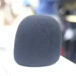 Condenser-Mic-Sponge.webp