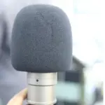 Condenser-Mic-Sponge.webp