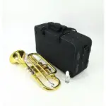 cornet-1audicom-kenya-1.png