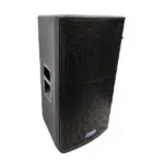 FBT-Mutus-15-Speaker.webp