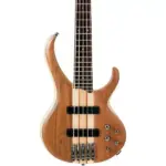 Ibanez 5 string bass guitar