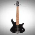 Ibanez-SDGR-5-string-bass-guitar-1.webp