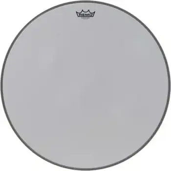 Remo 22 drum head