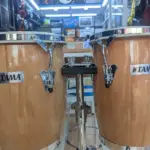 Tama-Mini-Conga-1.webp