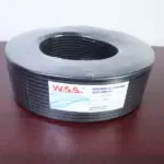 WeiShiSen-2_2.5mm-Speaker.webp
