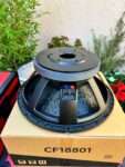 CFI18801 Naked Speaker