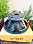 CFI18801 Naked Speaker