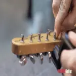 fender-electric-guitar-strings.webp
