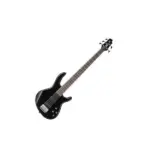 Ibanez-5-string-bass-guitar.webp