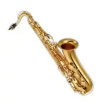 tenor saxophone
