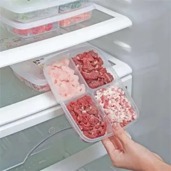 Compartment Fridge Containers 