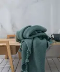 Soft-Tassel-Blanket.webp