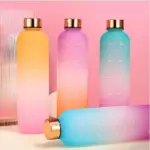 1 Litre BPA free frosted Tritan Plastic Water Bottle