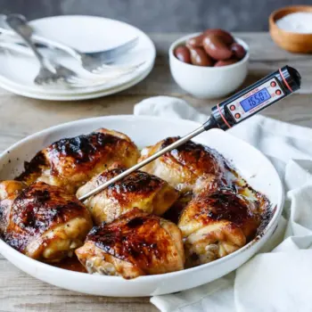 Electronic Digital Food Thermometer