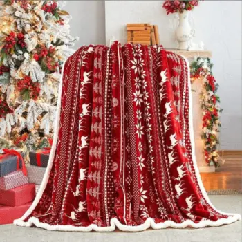 Double-Layered Christmas Blanket