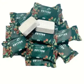 6-piece set of Disposable Compressed Towels