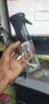 1809319171_max.webp