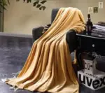 WhatsApp-Image-2025-07-18-at-15.59.18-1.webp