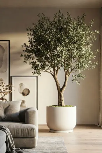 Real Touch Olive Plant