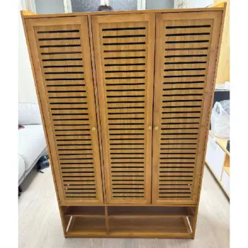 buy shoe cabinet