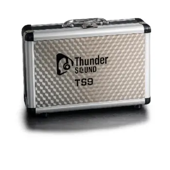 Thunder Sound TS9 mic